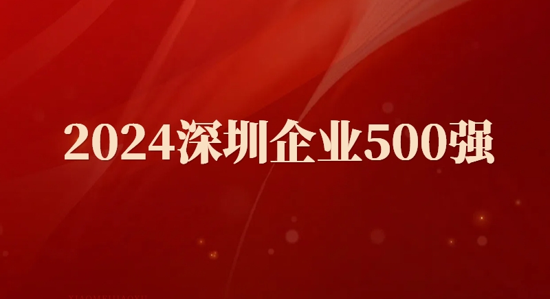 乐天堂FUN88股份入选“深圳企业500强榜单”